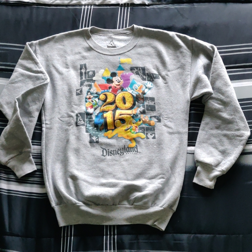 Disneyland 2015 Grey Sweater Crew Neck